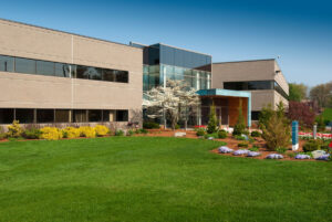 business landscaping