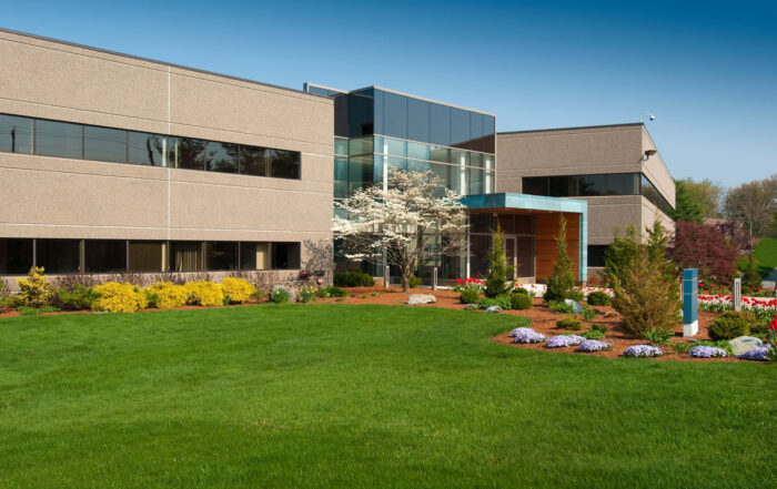 business landscaping