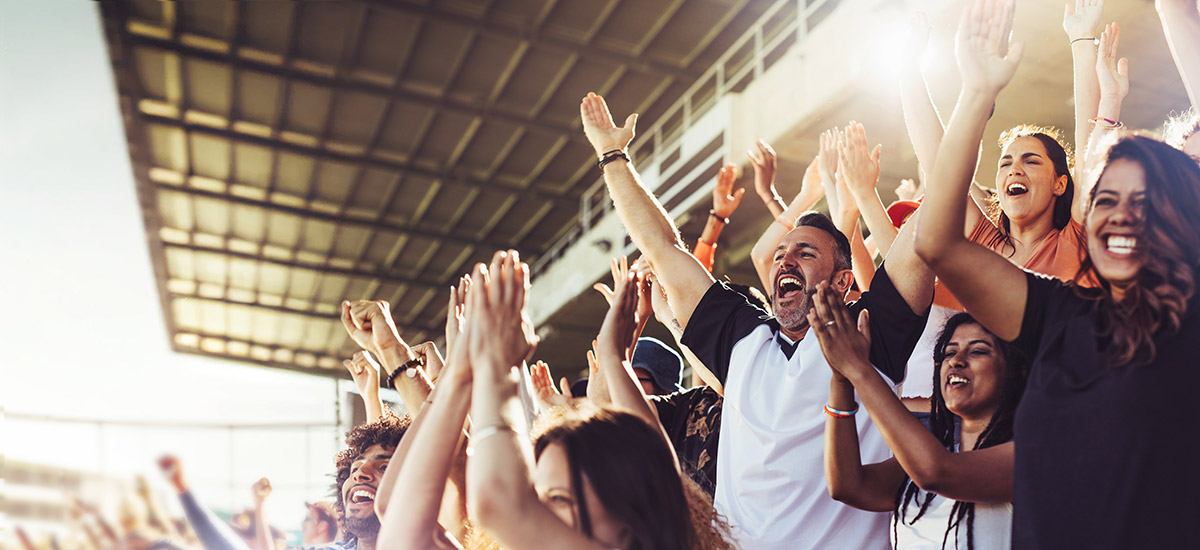 sports fans in stadium